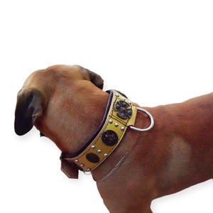 Gold Leather Dog Collar for Bullmastiff – Heavy-Duty Viking Odin Collar for Large Dogs