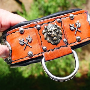 Orange Leather Dog Collar: Padded Celtic Axe Conchos for Large Breeds