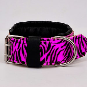 Leather Dog Collar for Strong Breeds with Soft Padding, German Shepherd collar, Zebra, Amstaff Collar