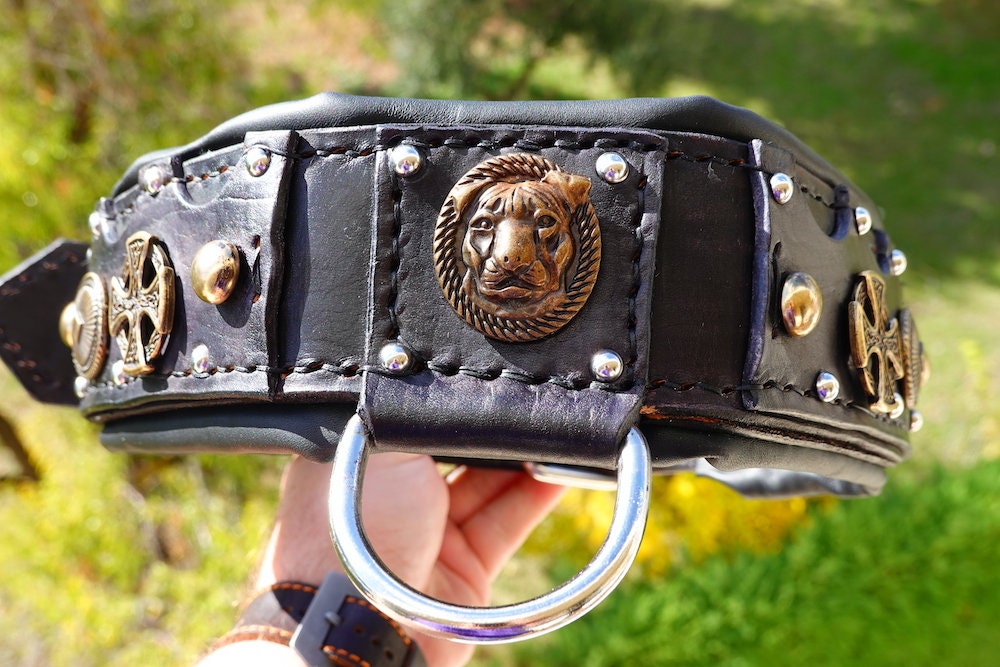 American Bully XL Collar Bully Dog Collar American Pitbull Etsy