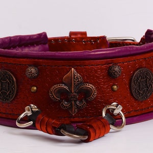 May include: A red leather dog collar with a purple lining and decorative metal accents. The collar has a fleur-de-lis design and a buckle closure.