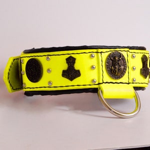 Viking ODIN Leather Dog Collar Neon Yellow color handmade and personalised with viking rivets and conchos for medium to big breeds