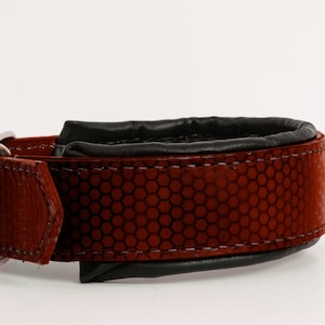 Handmade Brown Honeycomb Leather Dog Collar - 2 Inch Wide