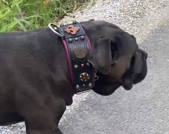 Cane Corso Custom Leather Dog Collar