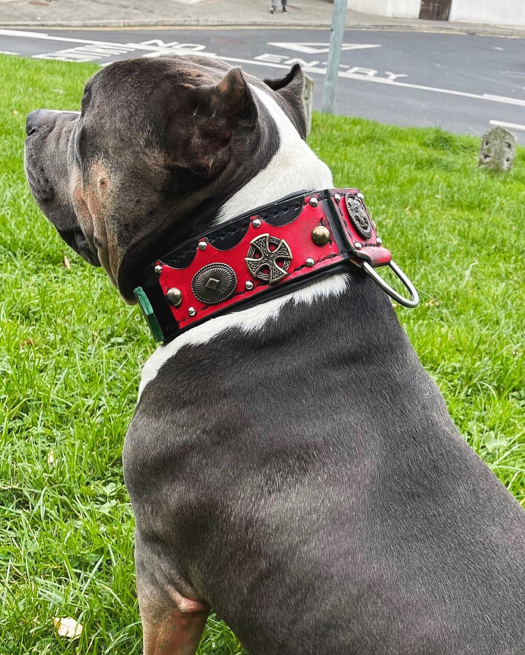 American Bully Collar , Bully XL Collar , American Bulldog Collar