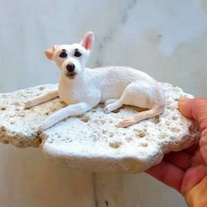 Custom Dog Figurine: Handmade Polymer Clay Pet Portrait on Rock