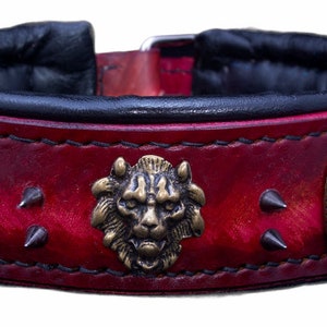 bully dog collar, doberman dog collar , cane corso collar , bullterrier collar , bullterrier collar , pitbull collar , amstaff collar
