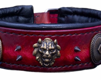 bully dog collar, doberman dog collar , cane corso collar , bullterrier collar , bullterrier collar , pitbull collar , amstaff collar