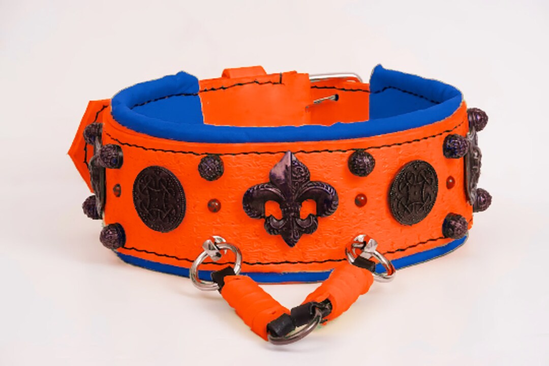Cane Corso 3 Inch Orange Leather Dog Collar Padded, Tooled Leather ...