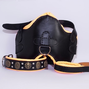 Leather Dog Harness Collar leash set, Padded leather harness for dogs matching collar