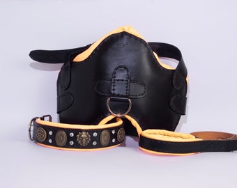 Handgefertigtes, gepolstertes Hundegeschirr-Halsband-Leine-Set aus Leder