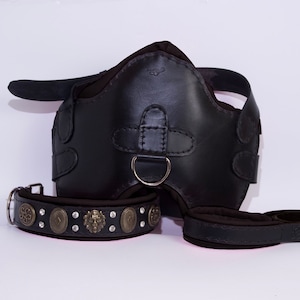 Handmade Leather Dog Collar, Harness & Leash Set: Padded, Veg Tan
