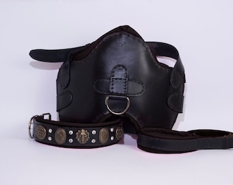 Handmade Leather Dog Collar, Harness & Leash Set: Padded, Veg Tan