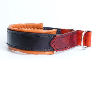 Martingale leather dog collar for big dogs with soft padding, Slip on dog collar, Agitation training leather collar