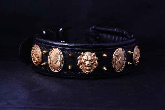 Black Dog Collar With Gold Spikes and Conchos Cane Corso Collar Boerboel Collar Dogo Canario Collar Bully Xl Collar Akita Collar Etsy UK