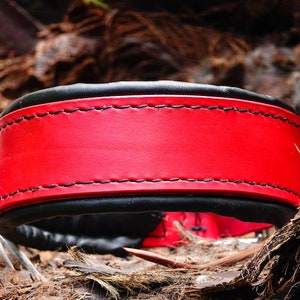 Handmade Red Leather Dog Collar with Black Soft Padding - Comfortable and Stylish Accessory for Your Canine Companion