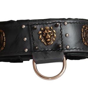 Handmade Leather Dog Collar: Viking Studded Padded Collar
