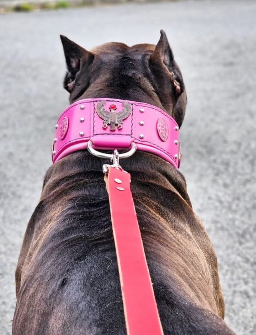Handmade Pink Leather Dog Collar: Sun God RA Emblem - Etsy