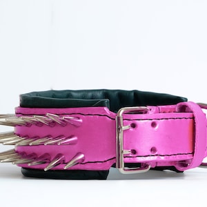 Leather Dog Collar with tall spikes handmade and personalised neon purple with soft padding