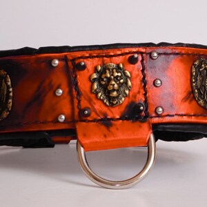 Padded Leather Dog Collar: Orange & Black Medieval Style