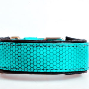 Turquoise honeycomb leather dog collar, cane corso, american bully xl , bulldog collar