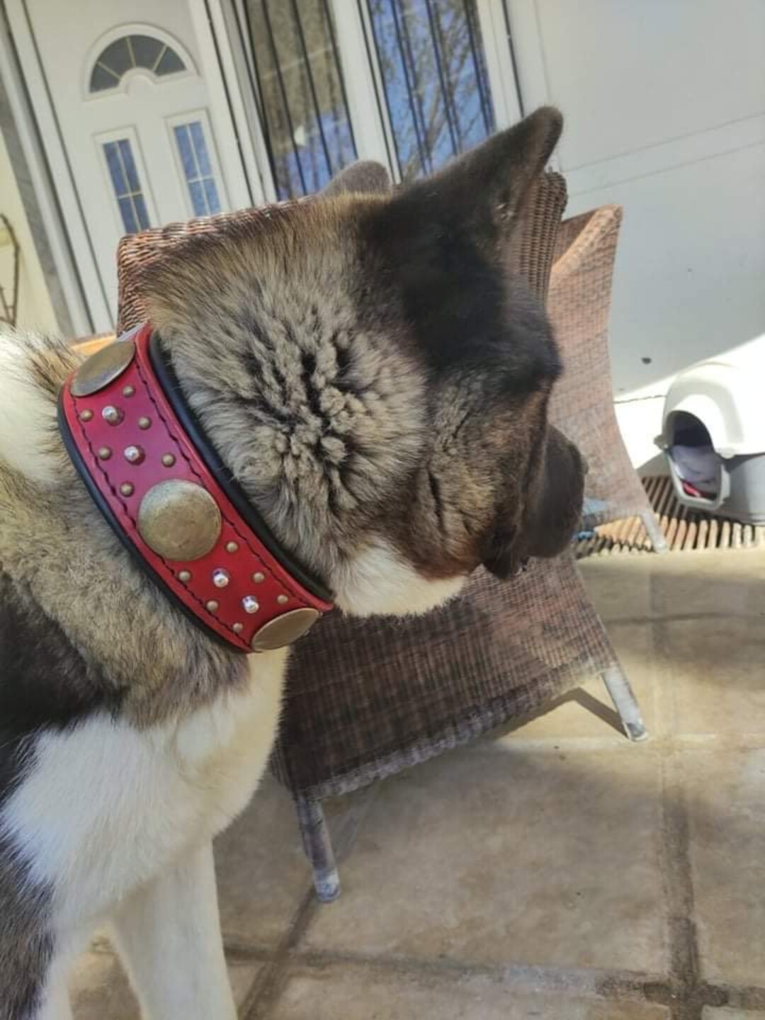 American Akita Collar, Boerboel Collar, Leather Dog Collar, Bullmastiff Leather Collar, Leather