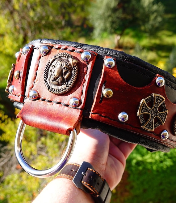 American Bully Leather Collar Bully Collar Bully Dog Collar American Bully Xl Collar Pitbull Collar American Pitbull Collar Etsy UK