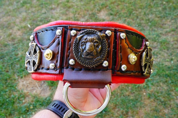 hundemantel wasserdicht Mudventure Coat ECO Regenmantel für Hunde main image 0