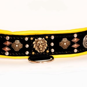 Leather Dog Collar color black for Terriers with celtic conchos and rivets with soft padding