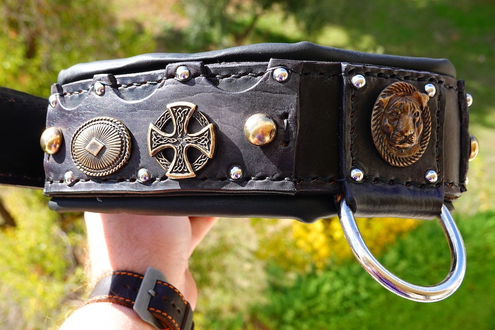 American Bully XL Collar Bully Dog Collar American Pitbull Etsy