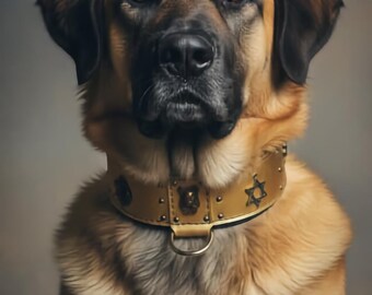 Star of David & Lions of Israel Handmade Leather Dog Collar Gold Color with Padding