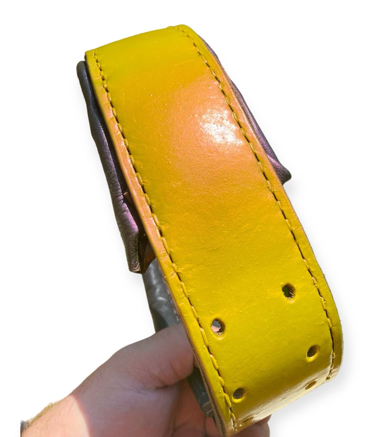 Handmade Adjustable Leather Dog Collar with Chameleon Color Effect Yellow to violet