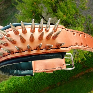 Wide Spiked Leather Dog Collar: Rose Gold & Dark Green, Large Breeds