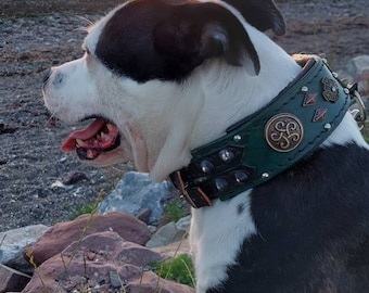 Leather Dog Collar, Cane Corso collar, Presa Canario collar, irish dog collar, pocket bully collar, amstaff collar