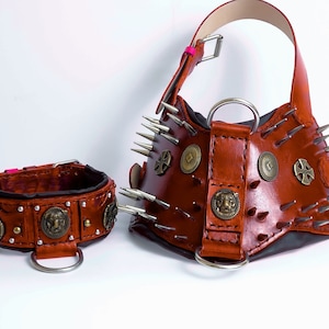 Leather Dog Collar and Harness Set: Spiked Bully Armor