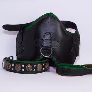 Handmade Leather Dog Collar and Harness Set: Padded Pitbull Collar & Leash