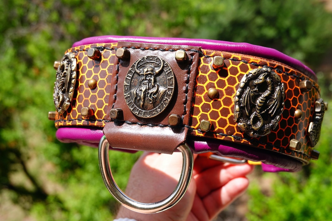 Odin Custom Large Dog Collars Recovery Collar E Collar For Big