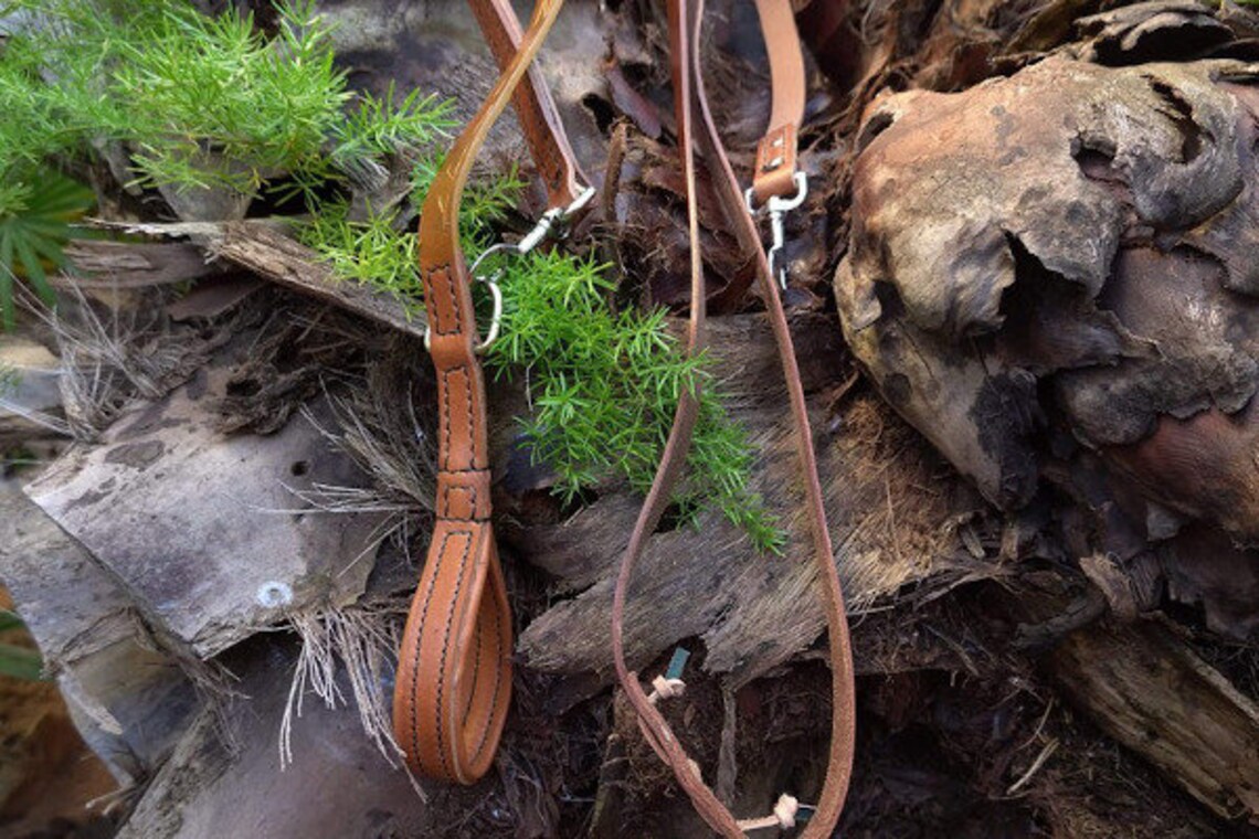 Over the Shoulder Dog Leash Long Dog Leash Leather Dog Etsy