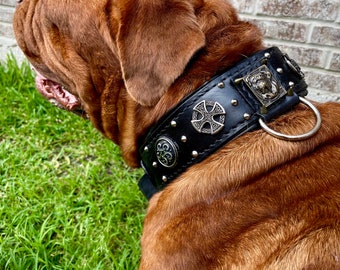 Dogue de Bordeaux leather collar with conchos and rivets and studs , french mastiff collar with soft padding, ddb collar