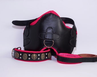 Leather dog harness collar leash with soft paddings set