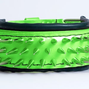 Anatolian Shepherd Dog Collar neon green color  with long spikes and soft padding