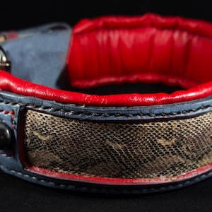 leather dog collar with snake print and soft padding