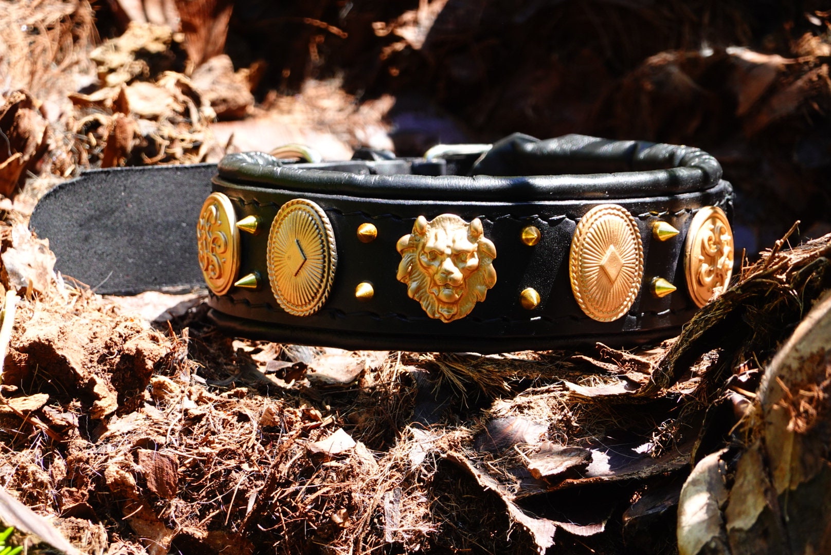 Black dog shop collar with spikes