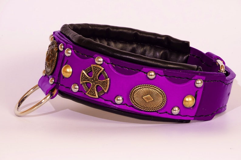 Amstaff Collar American Bully XL Collar Bully Collar Etsy