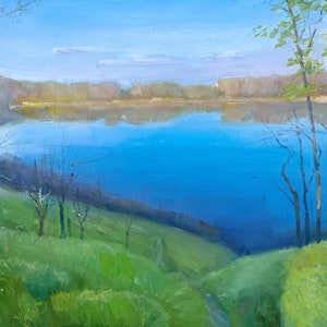Painting Lake Field Oil Painting Ukrainian Lake Original Art Artwork Lake Trees Ukrainian Landscape Oil Painting On Canvas Lake Near Kanev