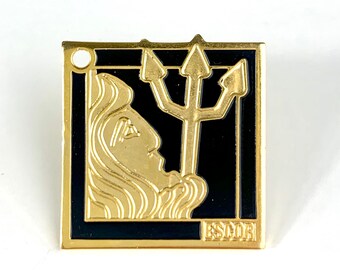 Vintage STAR SIGN AQUARIUS Zodiac Pin