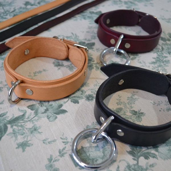 Collar and Leash Leather Bondage Set Colours Luxury BDSM Submissive Slave Collar Fetish Adult Party Festival Pride Pet Play Grunge Goth