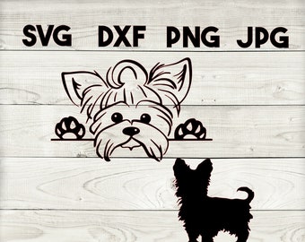 Free Free Yorkie Mandala Svg 159 SVG PNG EPS DXF File