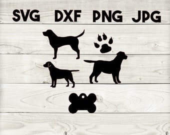 lab SVG, DXF, png, jpg, digital download, silhouette, cricut