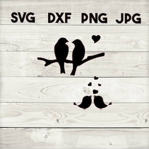 love birds SVG, DXF, png, jpg, digitale download, silhouet, cricut